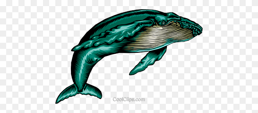 480x310 Humpback Whale Royalty Free Vector Clip Art Illustration - Humpback Whale Clipart