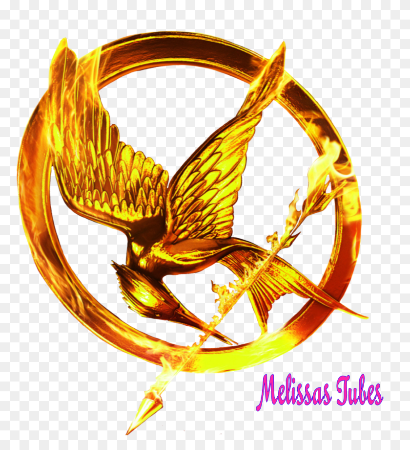 1071x1182 Hunger Games Clip Art Look At Hunger Games Clip Art Clip Art - Games Clipart