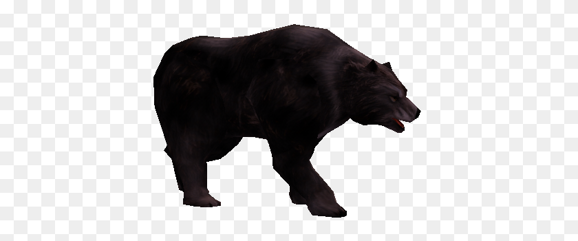 400x290 Голодный Черный Медведь - Черный Медведь Png