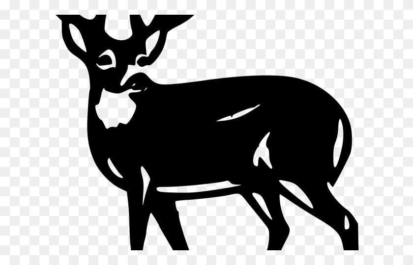 640x480 Hunting Clipart Doe Head - Elk Skull Clipart