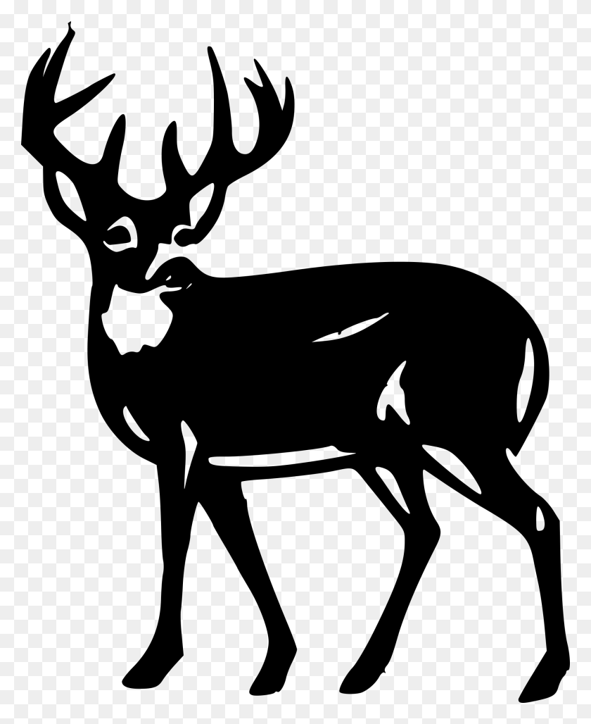 1933x2400 Hunting Clipart Doe Head - Free Hunting Clipart