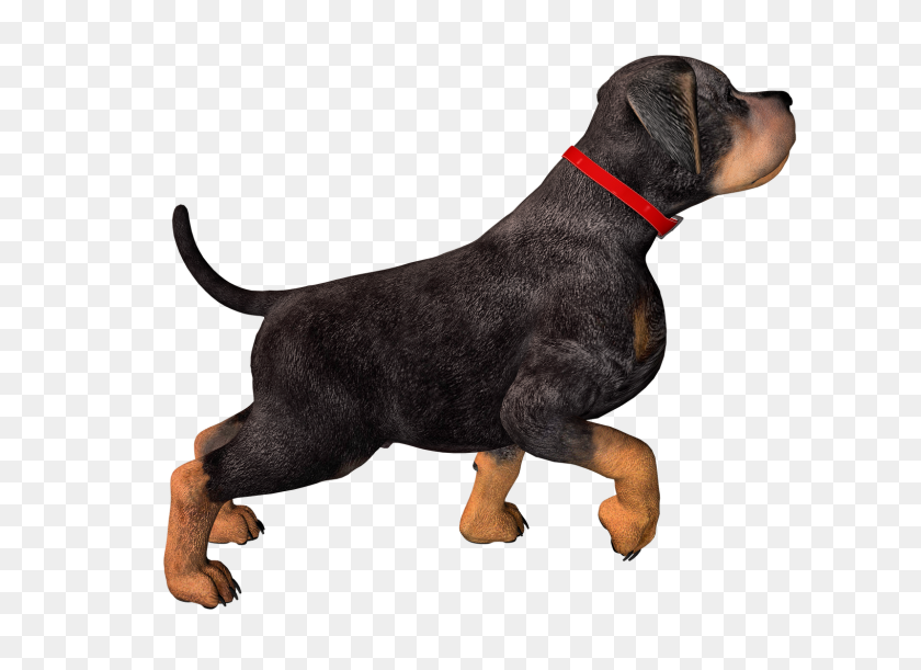 1600x1131 Hunting Dog Png Hd Transparent Hunting Dog Hd Images - Rottweiler Clipart Black And White