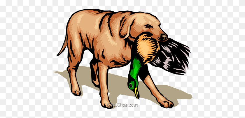 480x345 Hunting Dog Royalty Free Vector Clip Art Illustration - Duck Hunting Clipart