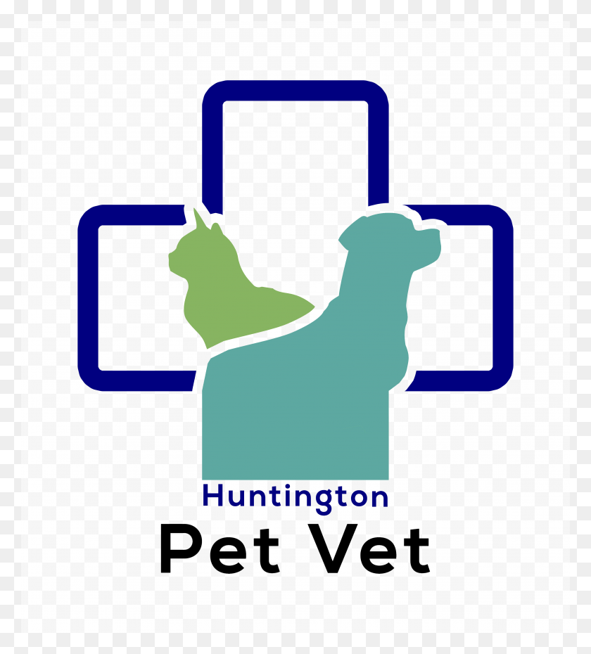 3022x3372 Huntington Beach Pet Vet Huntington Beach's Premier Veterinarian - Pet PNG