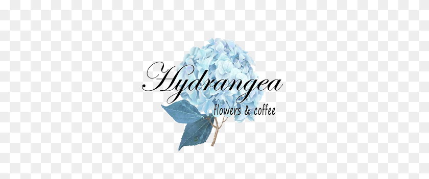 330x291 Hydrangea Flowers, Coffee Wine Bar - Hydrangea PNG