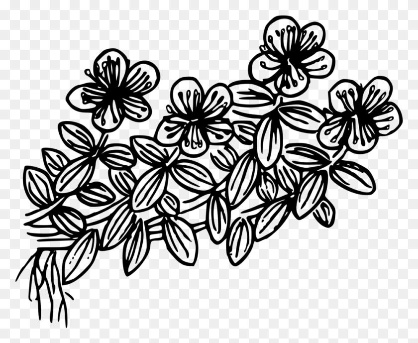 929x750 Hypericum Anagalloides Coloring Book Drawing Line Art Computer - Gallo Clipart