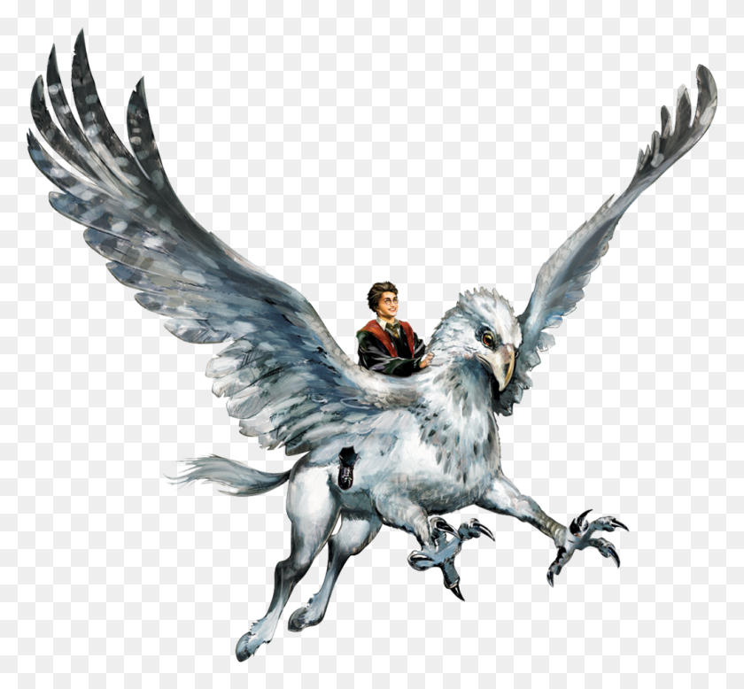 1024x943 Hyppogriff Clipart Harry Potter Hippogriff - Harry Potter Owl Clipart
