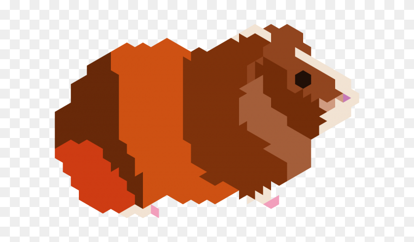 1440x796 Я Рисовал Hexel Art Of Guinea Pig Некоторое Время Назад, Думал, Что Вам Понравится - Клипарт Морская Свинка