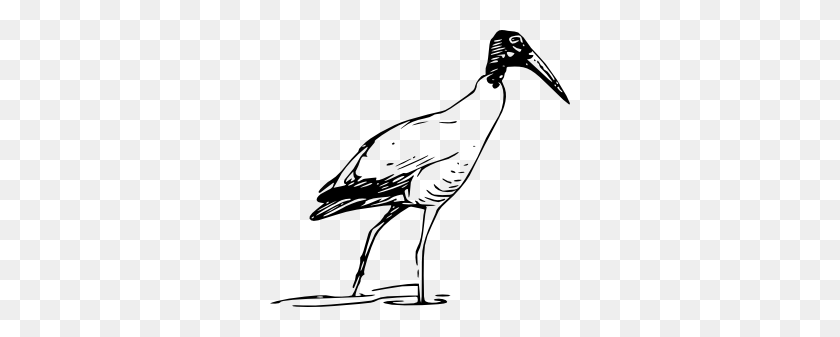 300x277 Ibis Bird Walking In Lake Clip Art - Stork Clipart