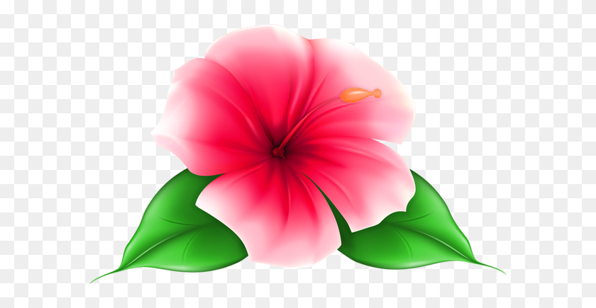 600x375 Идеи Для Дома Цветы - Тропические Цветы Png