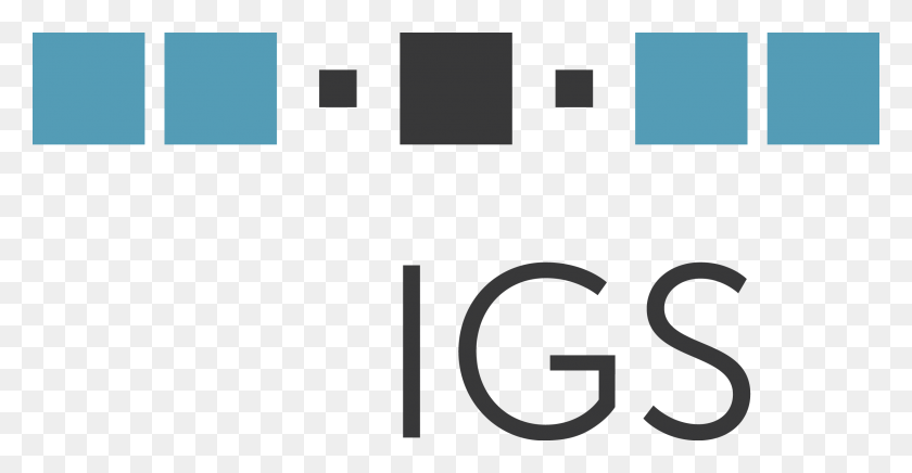 2478x1195 Igs Brand Guidelines And Logo Igs - PNG Acronym