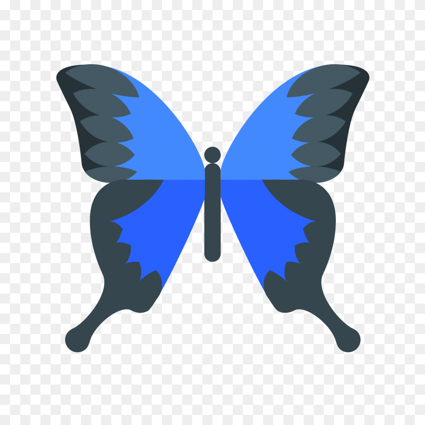 1600x1600 Ikonka Butterfly - Real Butterfly PNG