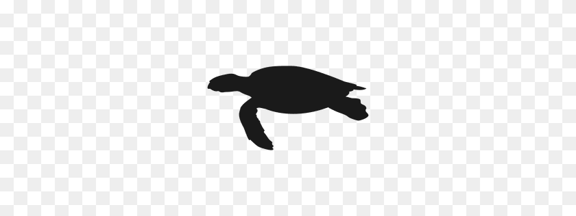 256x256 Illustrated And Isolated Turtle - Turtle Silhouette Clip Art