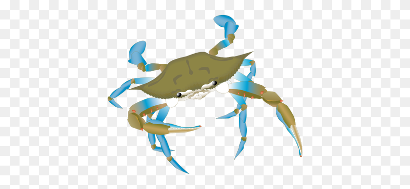 400x328 Illustration Of A Blue Crab - Blue Crab Clip Art