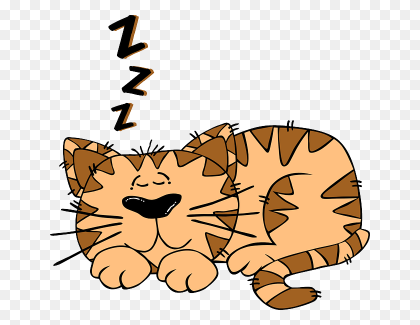 640x590 Иллюстрация Спящего Кота Детский Мир Creche Монтессори - Клипарт Монтессори