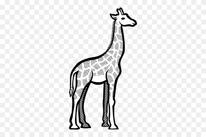 278x500 Иллюстрация Пятнистого Жирафа - Жираф Клипарт Черно-Белый