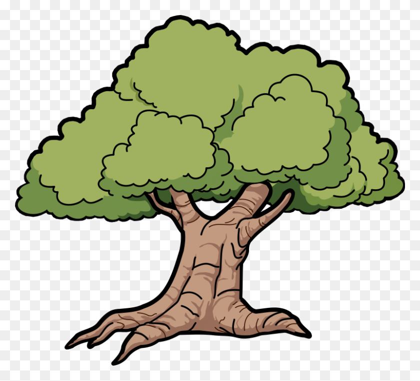 800x719 Иллюстрация Растущих Зеленых Деревьев В Векторе Леса - Лесной Клипарт