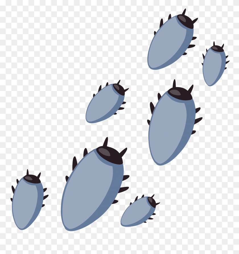 2247x2400 Ilmenskie Bugs Icons Png - Bugs PNG