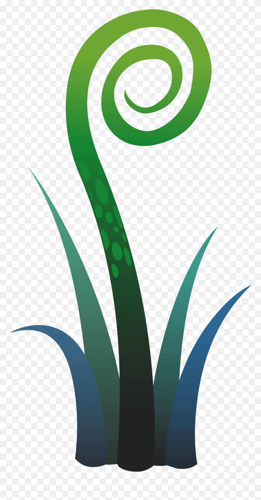 1208x2400 Ilmenskie Plant Helecho Iconos Png - Helecho Png