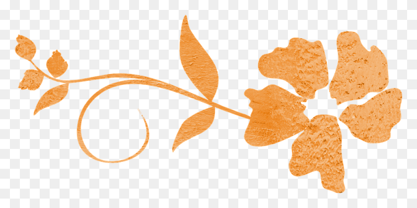 960x443 Image - Orange Flower PNG
