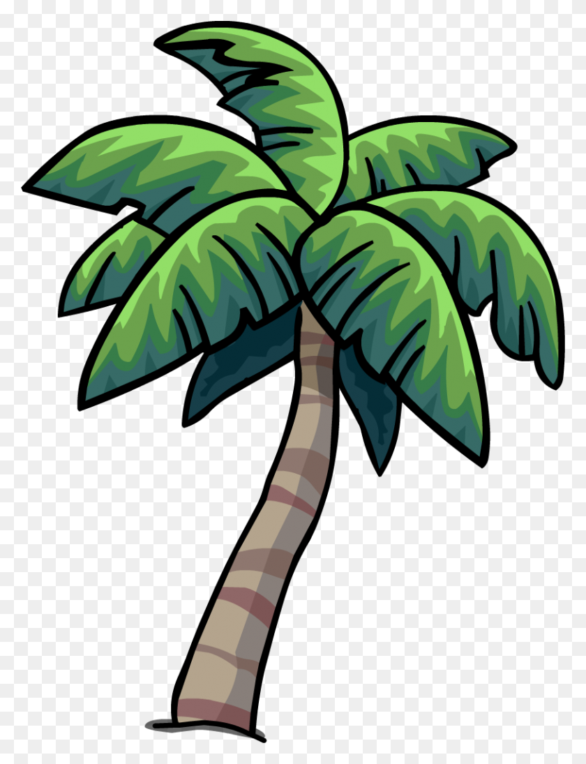812x1078 Image - Palm PNG