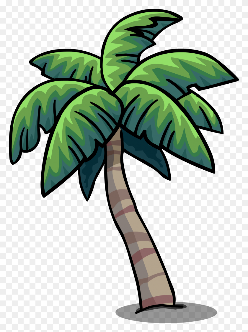 1836x2512 Image - Palm PNG
