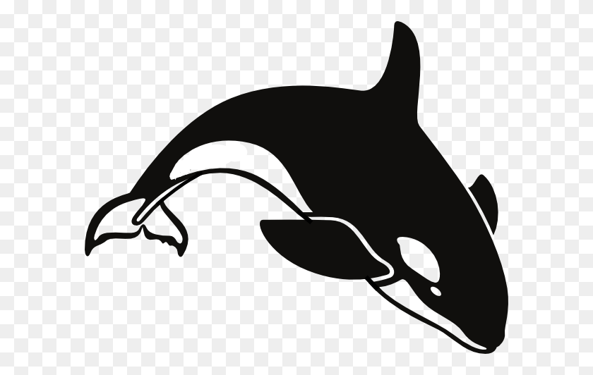 600x472 Imagen - Orca Png