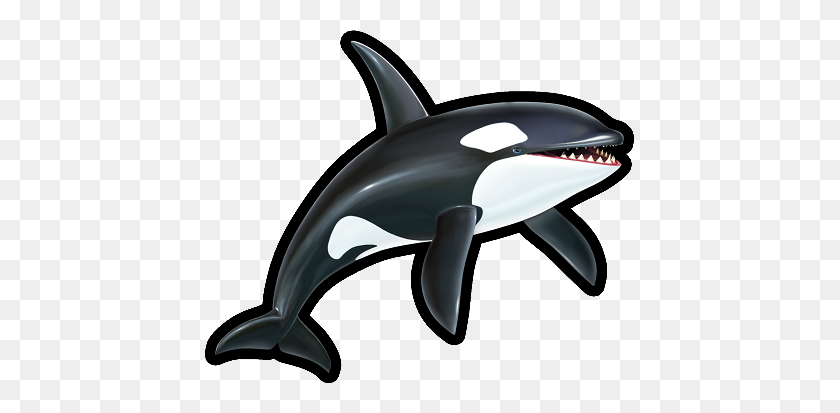 429x353 Image - Orca PNG