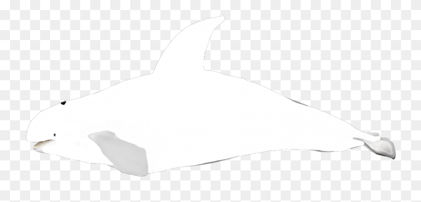 900x396 Image - Orca PNG