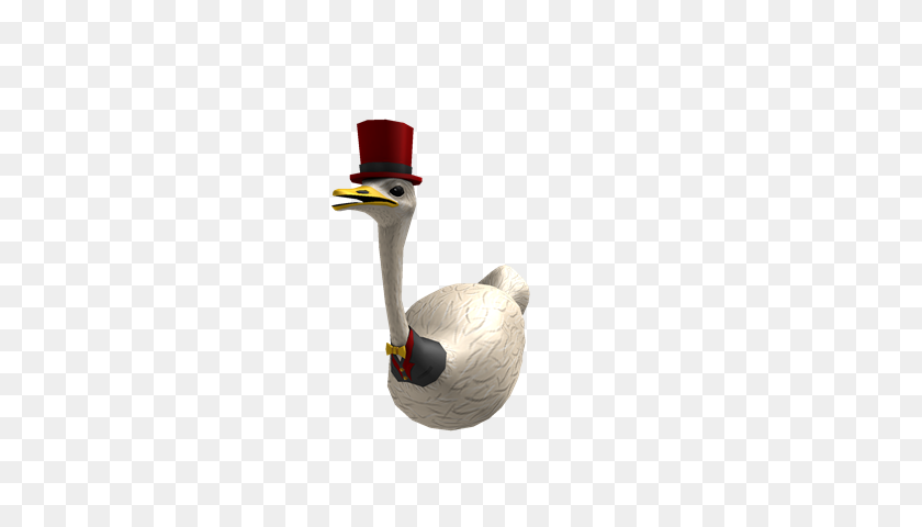 420x420 Image - Ostrich PNG