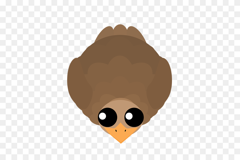 500x500 Image - Ostrich PNG