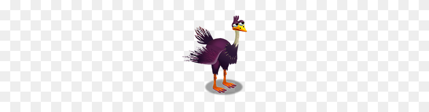 176x160 Image - Ostrich PNG
