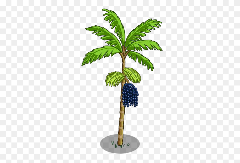 300x512 Image - Palm Tree PNG