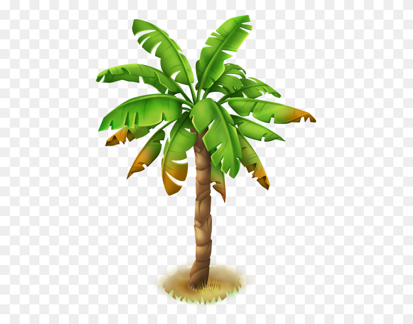 600x600 Image - Palm Tree PNG