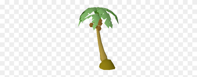 173x268 Image - Palm Tree PNG