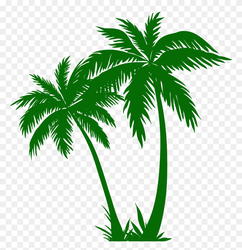3860x4000 Image - Palm Tree Silhouette Clipart