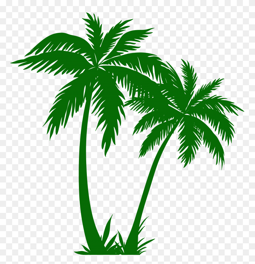 3860x4000 Image - Palm Tree Silhouette PNG