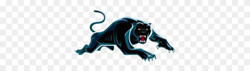 343x180 Image - Panthers Logo PNG