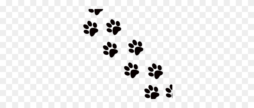 300x300 Image - Paws PNG