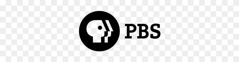300x160 Image - Pbs Logo PNG