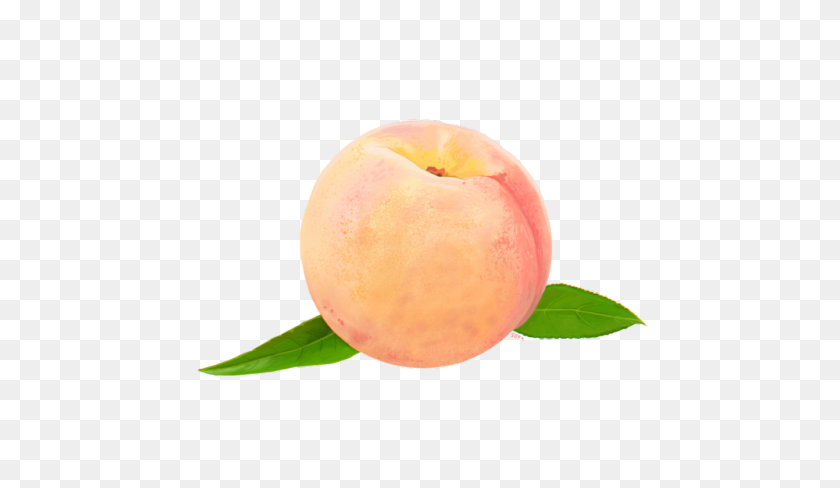 500x428 Image - Peach PNG