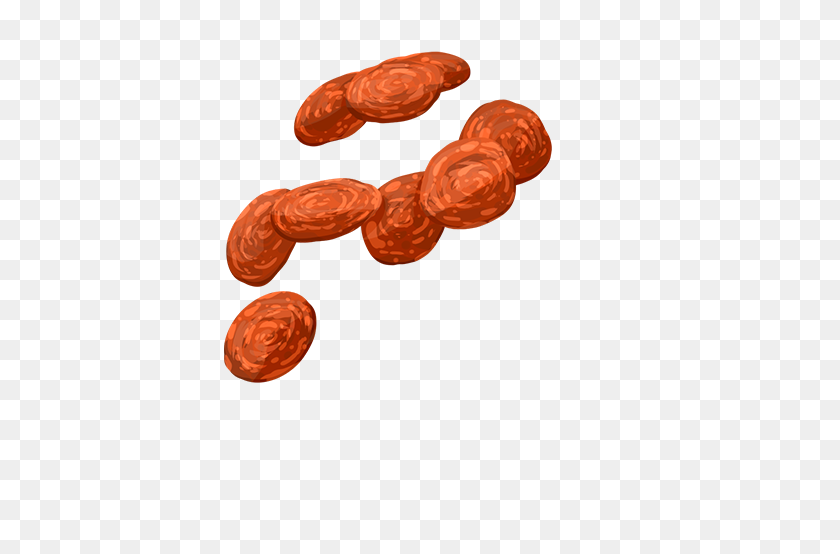 450x494 Image - Pepperoni PNG