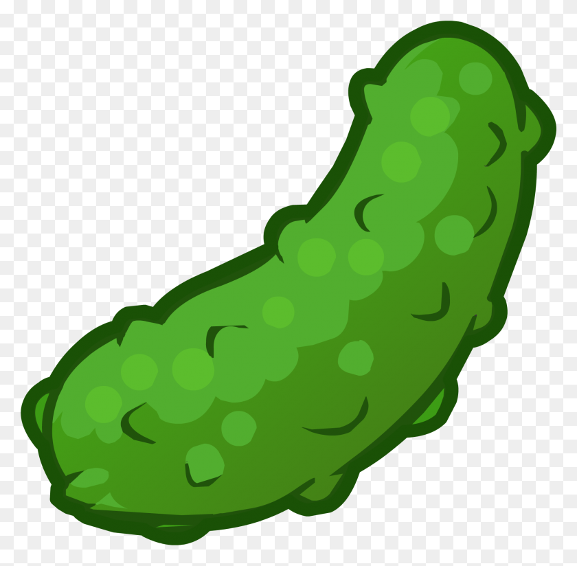 1757x1722 Image - Pickle PNG