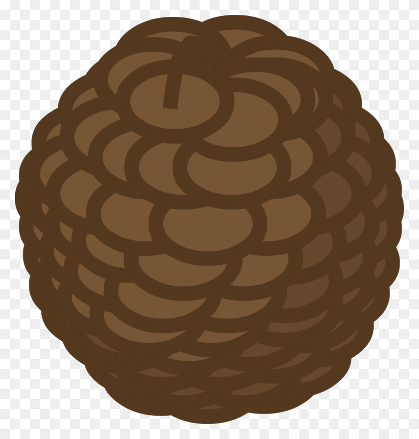 1189x1250 Image - Pine Cone PNG
