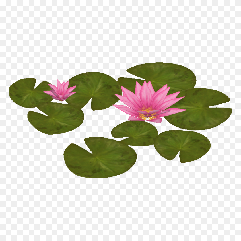 846x846 Image - Plant Top View PNG