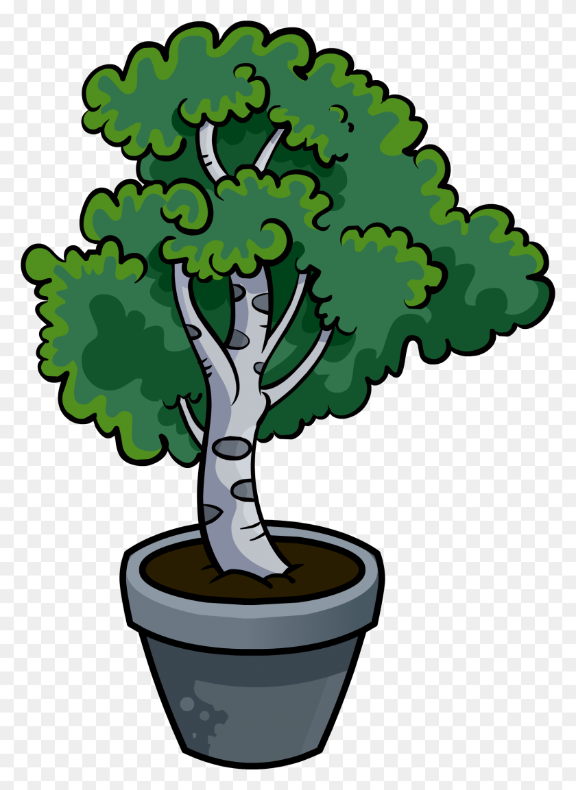 1621x2273 Image - Oak Tree PNG