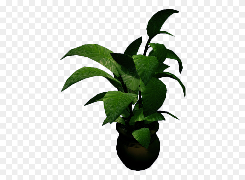 435x556 Image - Potted Plant PNG
