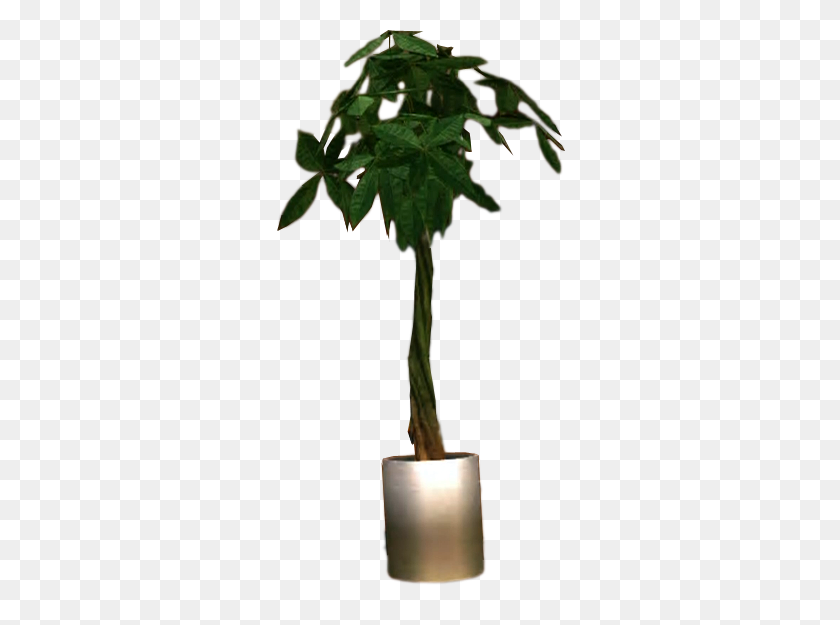318x565 Image - Potted Plant PNG