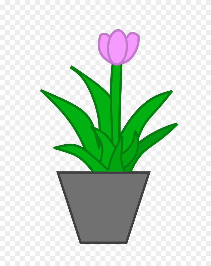 700x1000 Image - Potted Plant PNG