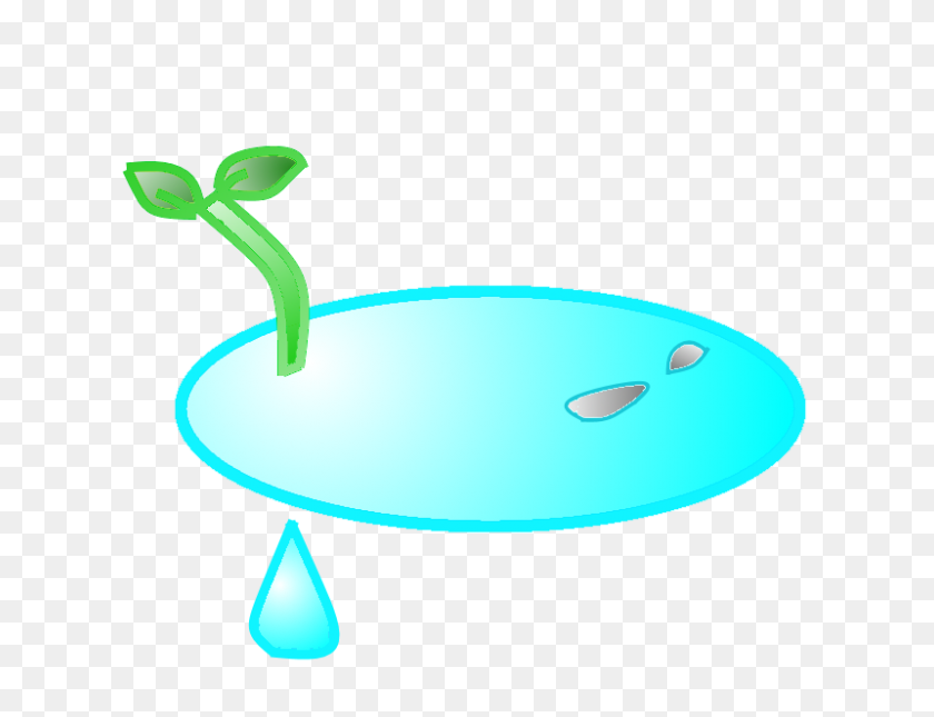 800x600 Image - Puddle PNG